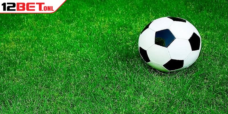 Kèo Lựa Là Gì? Hướng Dẫn Chơi Và Tính Tỷ Lệ Ăn Cược 18 Cách nhận biết kèo tuồng là gì chính xác