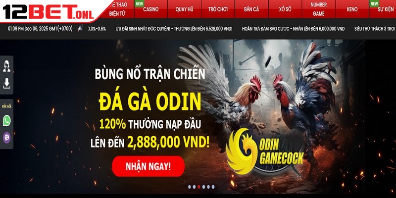 Về Chúng Tôi 12BET - Địa Chỉ Giải Trí Danh Tiếng Nhất 6 Cam kết mang đến sự hài lòng tuyệt đối cho hội viên cá cược